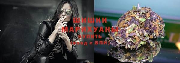 стаф Козловка
