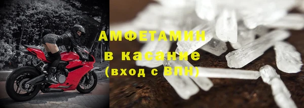 стаф Козловка