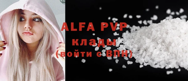 стаф Козловка